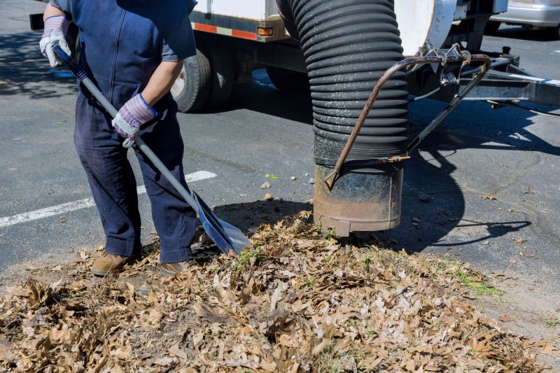 Leaf Collection Process