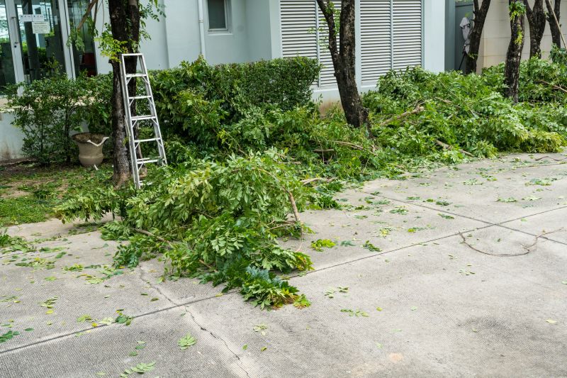 Site Cleanup