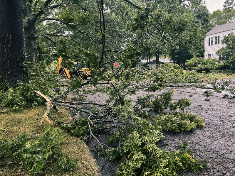 Post-Removal Site Cleanup