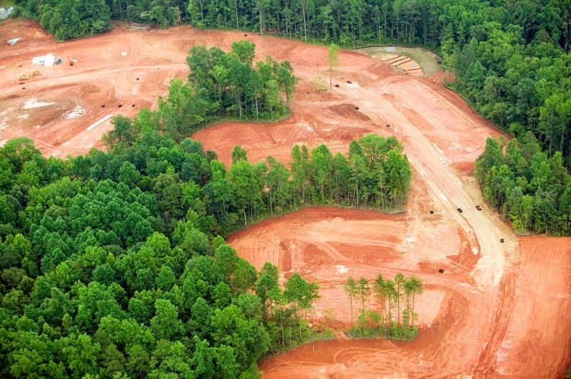 Clearing the Land