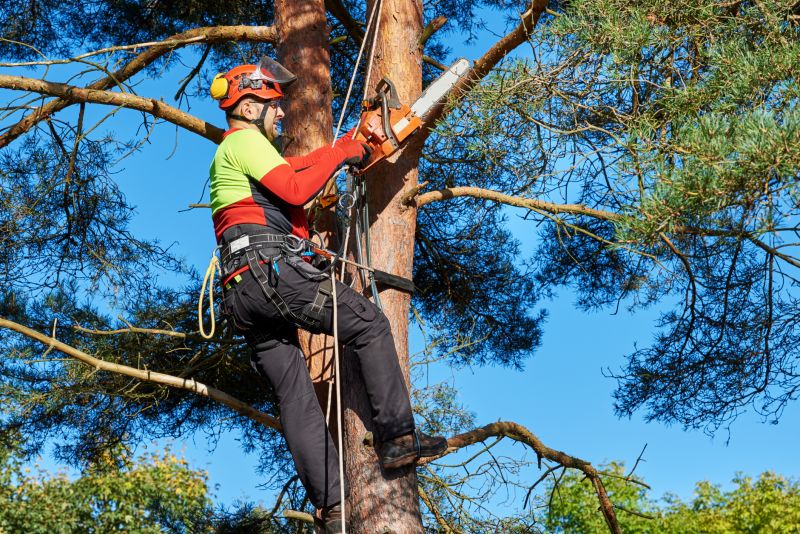 Tree Service Equipment