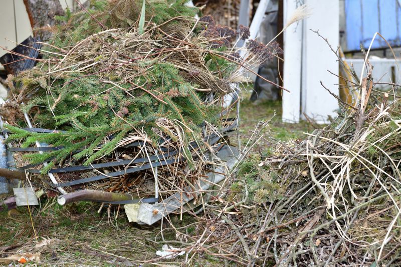 Proper Disposal